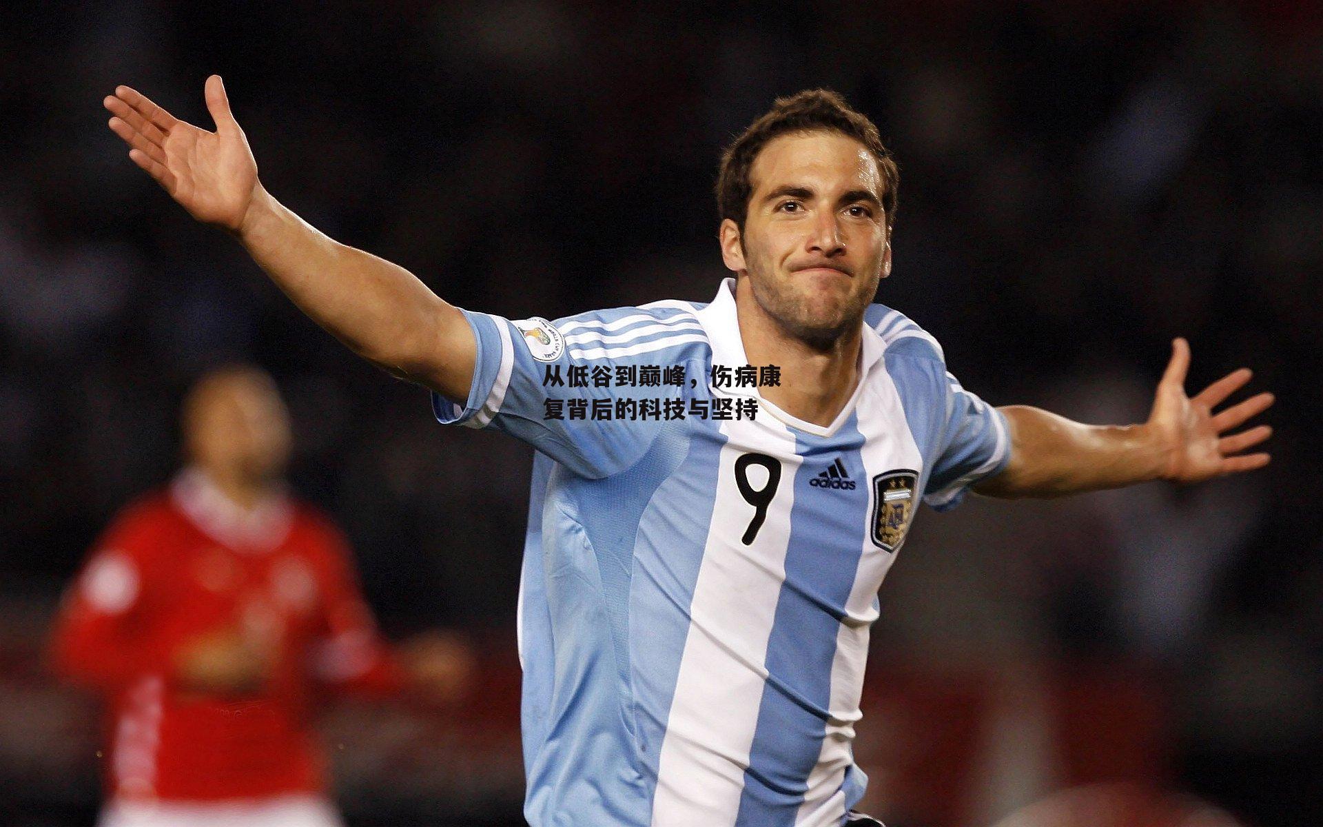 从低谷到巅峰,伤病康复背后的科技与坚持