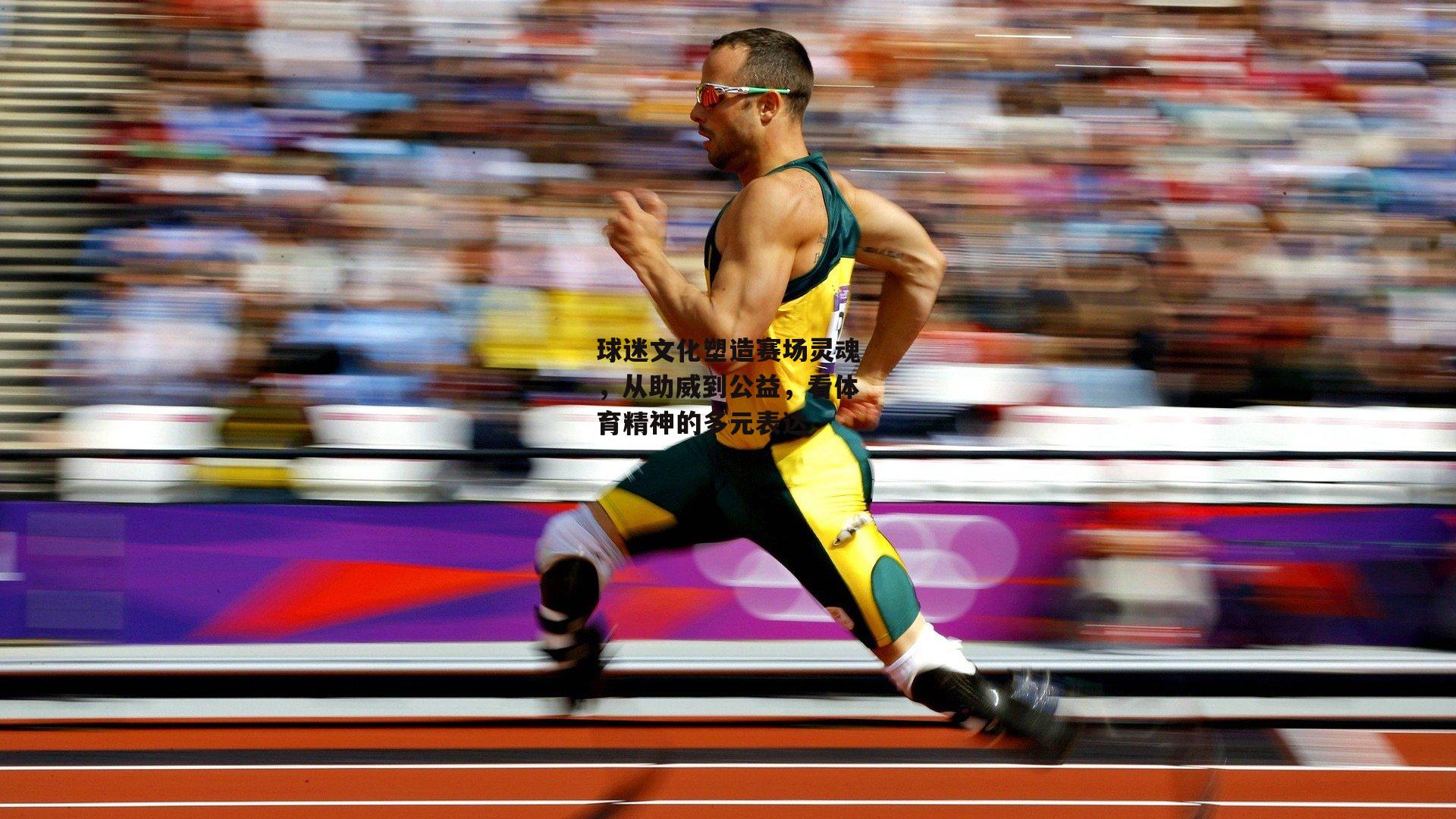 球迷文化塑造赛场灵魂,从助威到公益,看体育精神的多元表达