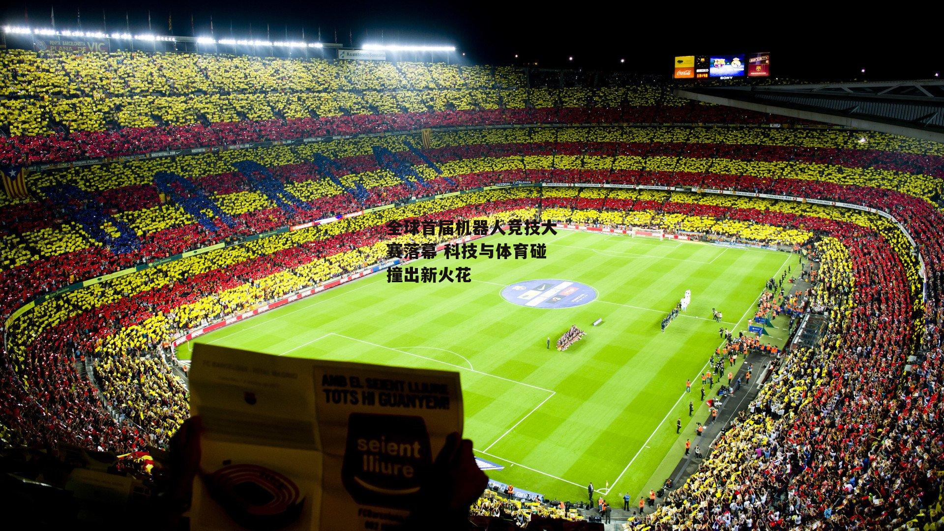 全球首届机器人竞技大赛落幕 科技与体育碰撞出新火花