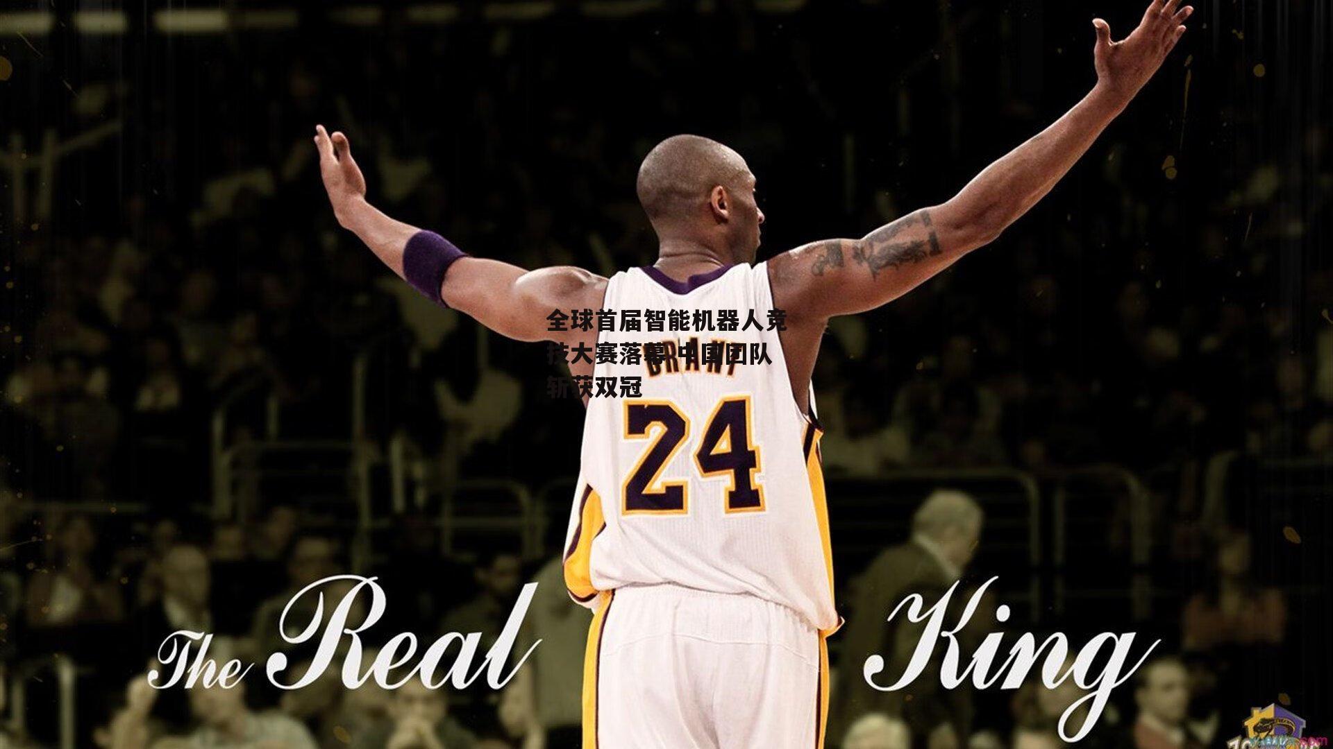 全球首届智能机器人竞技大赛落幕 中国团队斩获双冠